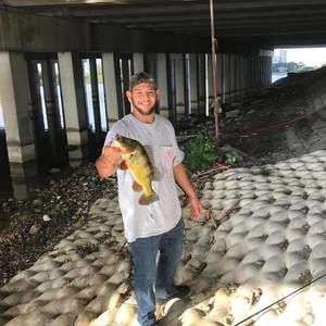 Meet your Posher, Joseph